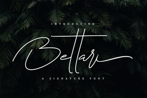 Bettari: Elevate Your Designs with Signature Script Elegance