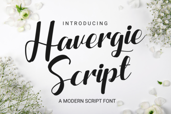 Havergie: The Trendy Script Font for Modern Design