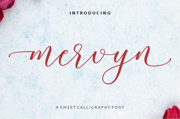 Mervyn Font: Elevating Design with Calligraphic Elegance
